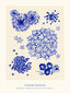 Blue flowers