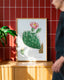 Cactus - rose