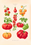 Tomates