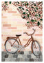 The Bicycle