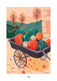 Courges