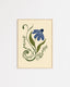 BLUE FLOWER