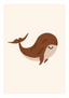 Baleine - brune