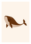 Baleine - brune 02