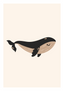 Baleine - grise