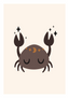 Signe astro - Cancer