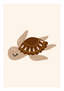 Tortue - brune