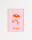 Carac - rose