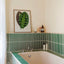 Calathea