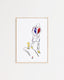 France - Foot